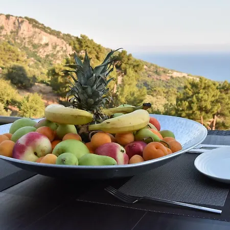 Likya Road Hotel Gavuragili